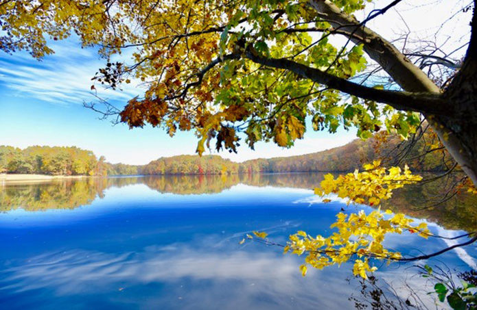 Warmer temperatures could have chilling effect on fall foliage